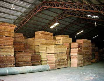 Wood stock pile
